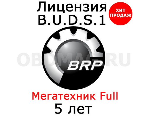 Лицензия BUDS 1 "Мегатехник" 5 лет